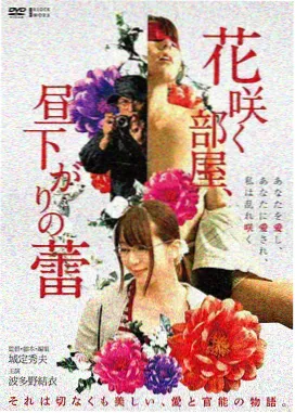 海贼王在线免费观看-红发歌姬剧场版
